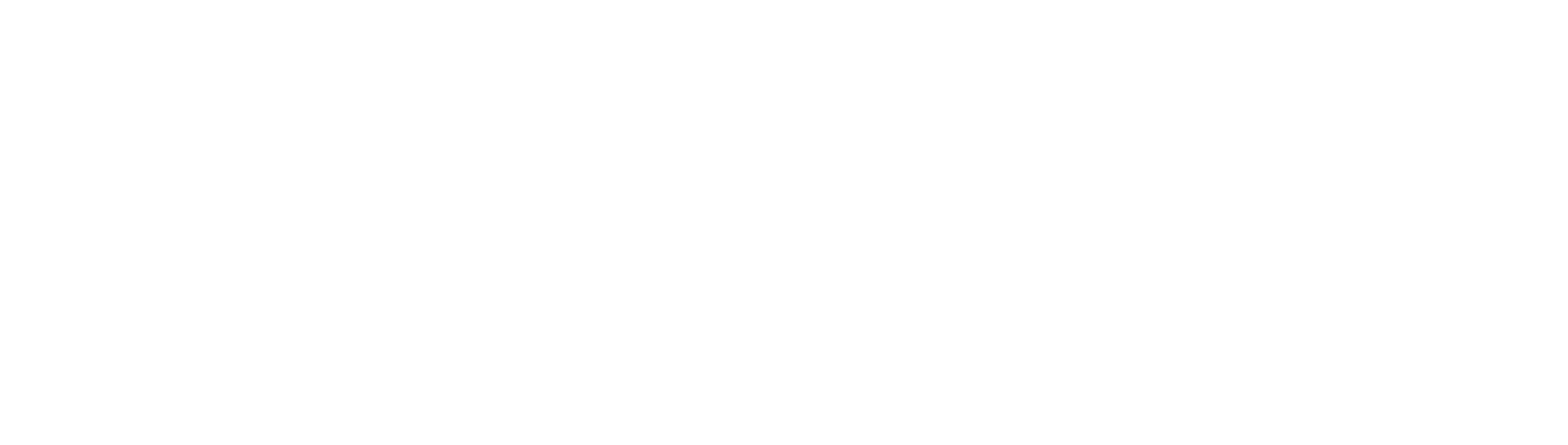 DISAN AGRO
