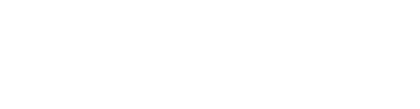 DISAN LATAM